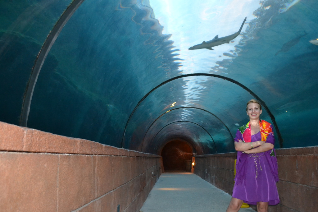 The famous Shark Tunnel, Atlantis Bahamas