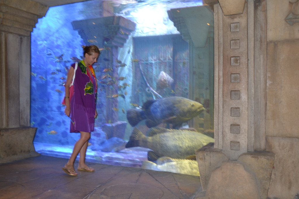 The DIG, un urias acvariu la subsolul hotelul Atlantis ce aminteste de continental disparut Atlantita. Aici aveti ocazia sa vedeti mii de specii acvatice.  Impresionanta este zona dedicata celebrilor, Epinephelus itajara, and the Nassau Grouper.