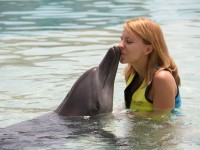 Dolphin encounter
