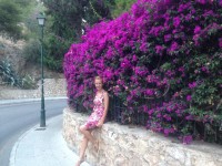 Pink Bougainvillea