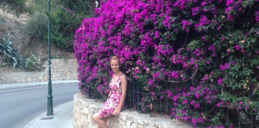 Pink Bougainvillea